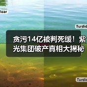贪污14亿被判死缓!紫光集团破产真相大揭秘 贪污14亿被判死缓!紫光集团破产真相大揭秘