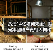 贪污14亿被判死缓!紫光集团破产真相大揭秘 贪污14亿被判死缓!紫光集团破产真相大揭秘