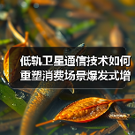 低轨卫星通信技术如何重塑消费场景爆发式增长? 低轨卫星通信技术如何重塑消费场景爆发式增长?