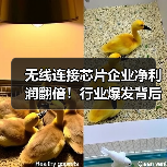 无线连接芯片企业净利润翻倍！行业爆发背后的三大驱动因素