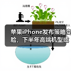苹果iPhone发布策略变脸,下半年高端机型或来袭 苹果iPhone发布策略变脸,下半年高端机型或来袭