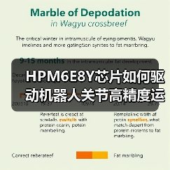 HPM6E8Y芯片如何驱动机器人关节高精度运动控制? HPM6E8Y芯片如何驱动机器人关节高精度运动控制?