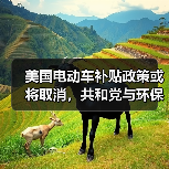 美国电动车补贴政策或将取消,共和党与环保团体激烈博弈 美国电动车补贴政策或将取消,共和党与环保团体激烈博弈