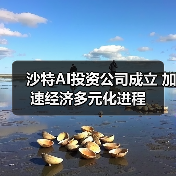 沙特AI投资公司成立 加速经济多元化进程 沙特AI投资公司成立 加速经济多元化进程