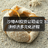 沙特AI投资公司成立 加速经济多元化进程 沙特AI投资公司成立 加速经济多元化进程