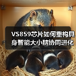 VS859芯片如何重构具身智能大小脑协同进化 VS859芯片如何重构具身智能大小脑协同进化