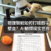 物理智能如何打破数字壁垒?AI触摸现实世界的关键突破 物理智能如何打破数字壁垒?AI触摸现实世界的关键突破