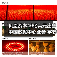 贝恩资本40亿美元出售中国数据中心业务 字节跳动成最大客户