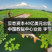 贝恩资本40亿美元出售中国数据中心业务 字节跳动成最大客户