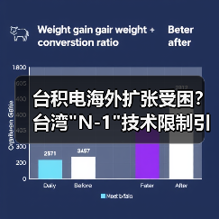 台积电海外扩张受困？台湾"N-1"技术限制引热议