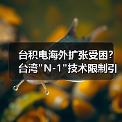 台积电海外扩张受困？台湾"N-1"技术限制引热议