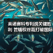 英诺赛科专利战关键胜利 管辖权终裁打破国际巨头挑战