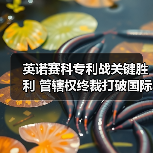 英诺赛科专利战关键胜利 管辖权终裁打破国际巨头挑战