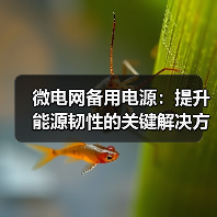 微电网备用电源：提升能源韧性的关键解决方案