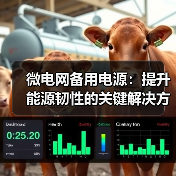 微电网备用电源：提升能源韧性的关键解决方案