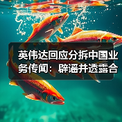 英伟达回应分拆中国业务传闻：辟谣并透露合作计划
