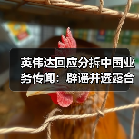 英伟达回应分拆中国业务传闻：辟谣并透露合作计划