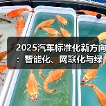 2025汽车标准化新方向:智能化、网联化与绿色化升级路径 2025汽车标准化新方向:智能化、网联化与绿色化升级路径