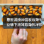 恩智浦换帅营收双降9% 业绩下滑背后隐忧浮现 恩智浦换帅营收双降9% 业绩下滑背后隐忧浮现