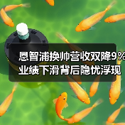 恩智浦换帅营收双降9% 业绩下滑背后隐忧浮现 恩智浦换帅营收双降9% 业绩下滑背后隐忧浮现