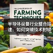 半导体设备行业整合提速，如何突破技术封锁打造中国巨头？