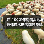 歼-10C如何凭借雷达与导弹技术击落阵风战机？
