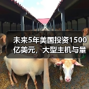 未来5年美国投资1500亿美元，大型主机与量子计算机将如何引领科技革命？