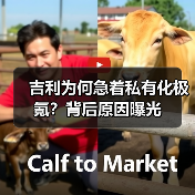 吉利为何急着私有化极氪？背后原因曝光