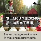本土MCU企业2024财报：消费电子回暖，车规赛道仍需投入
