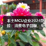 本土MCU企业2024财报：消费电子回暖，车规赛道仍需投入
