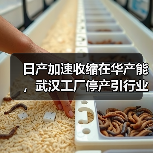 日产加速收缩在华产能，武汉工厂停产引行业震动