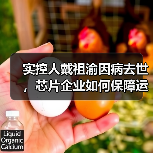 实控人戴祖渝因病去世，芯片企业如何保障运营稳定？