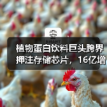 植物蛋白饮料巨头跨界押注存储芯片，16亿增资长控集团引关注