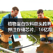 植物蛋白饮料巨头跨界押注存储芯片，16亿增资长控集团引关注