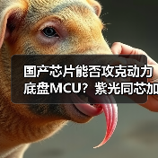 国产芯片突围高端汽车域控 紫光同芯引领动力与底盘芯片国产化风向标-云溯流云昇科技 国产芯片突围高端汽车域控 紫光同芯引领动力与底盘芯片国产化风向标-云溯流云昇科技