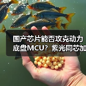 国产芯片突围高端汽车域控 紫光同芯引领动力与底盘芯片国产化风向标-云溯流云昇科技 国产芯片突围高端汽车域控 紫光同芯引领动力与底盘芯片国产化风向标-云溯流云昇科技