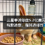 三星申诉印度5.2亿美元税款追缴,指其选择性执法? 三星申诉印度5.2亿美元税款追缴,指其选择性执法?