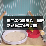 进口车销量暴跌,国产新能源车强势崛起! 进口车销量暴跌,国产新能源车强势崛起!