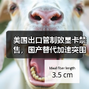 美国出口管制致显卡禁售,国产替代加速突围? 美国出口管制致显卡禁售,国产替代加速突围?
