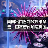 美国出口管制致显卡禁售,国产替代加速突围? 美国出口管制致显卡禁售,国产替代加速突围?