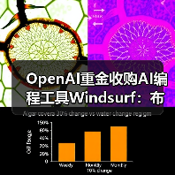 OpenAI重金收购AI编程工具Windsurf:布局生成式AI市场 OpenAI重金收购AI编程工具Windsurf:布局生成式AI市场