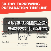 AI内存瓶颈破解之道：关键技术如何驱动性能跃升？