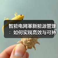 智能电网革新能源管理:如何实现高效与可持续的电力系统 智能电网革新能源管理:如何实现高效与可持续的电力系统