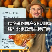 民企采购国产GPU哪家强？北京政策扶持厂商选择指南