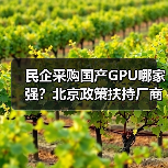 民企采购国产GPU哪家强？北京政策扶持厂商选择指南