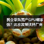 民企采购国产GPU哪家强？北京政策扶持厂商选择指南