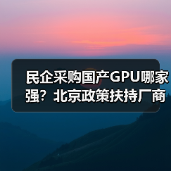 民企采购国产GPU哪家强？北京政策扶持厂商选择指南