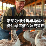 索尼为何分拆半导体业务？聚焦核心领域背后的战略意图