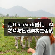 后DeepSeek时代，AI芯片与基础架构是否该全面革新？