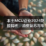 本土MCU企业2024财报解析:消费复苏与车规困局 本土MCU企业2024财报解析:消费复苏与车规困局